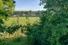 IMG_20190723_184047