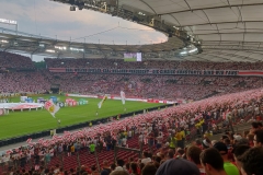 IMG_20190726_202936