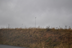Fotos-–-07139